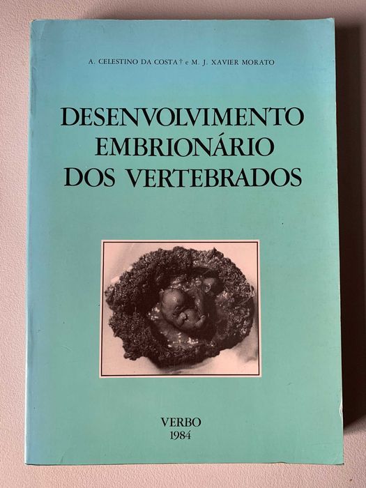 Desenvolvimento Embrionário dos Vertebrados