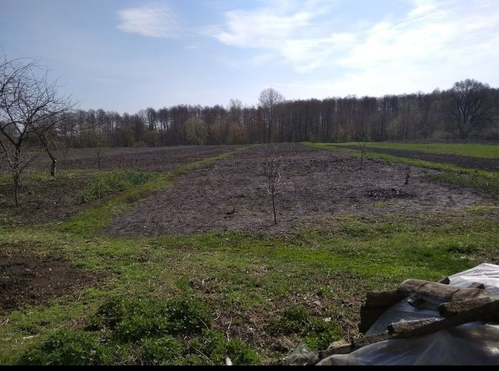 Продається житловий будинок  с.Червониуй Кут Сумського району