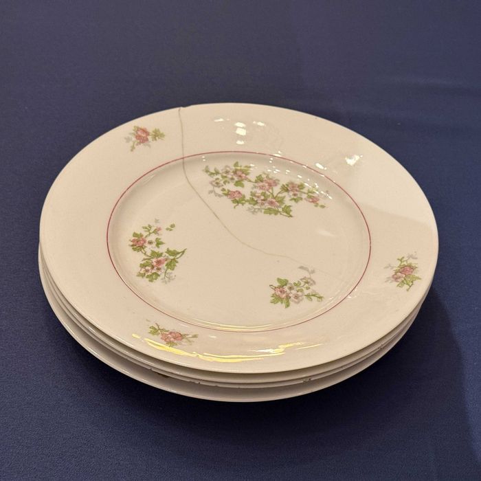 Set of 6 Early 1950s Vintage Plates by Vista Alegre