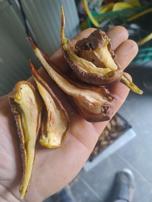 Suszone owoce ekologiczne