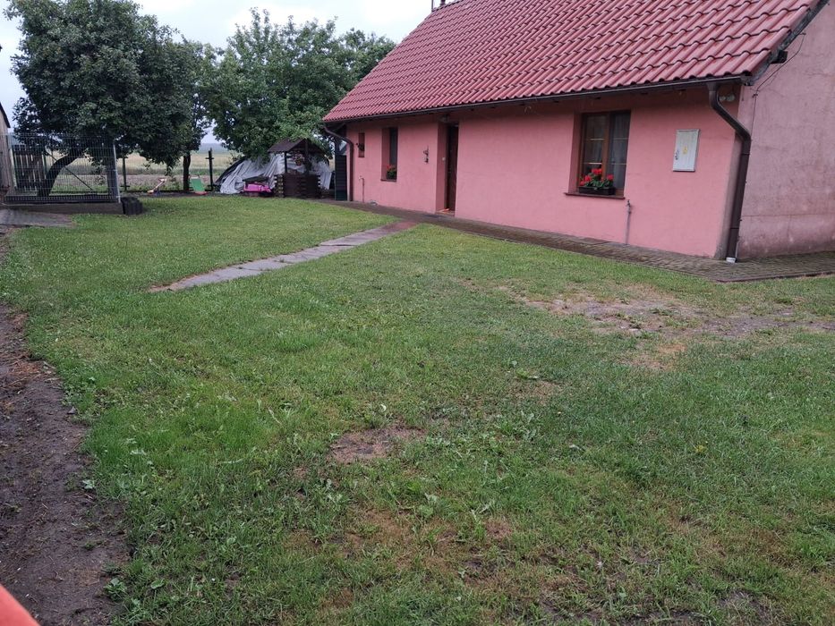 Nocleg w Borach  Tucholskich