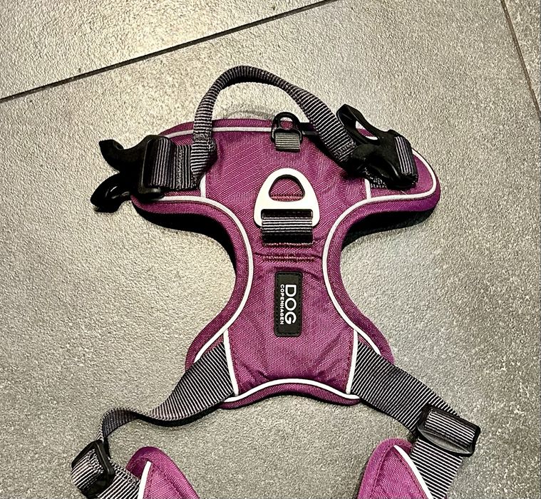 Szelki DOG Copenhagen M