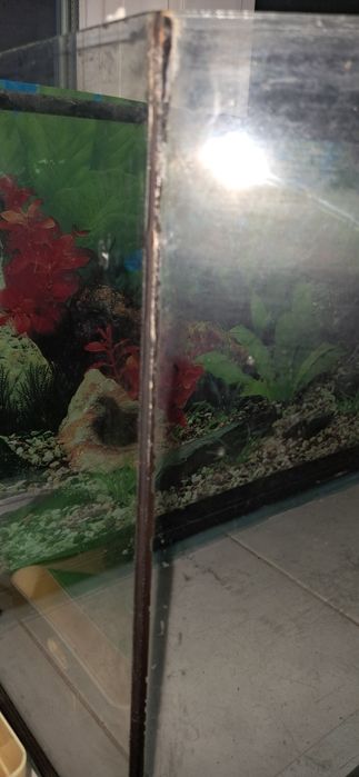 Акваріум на 65 л