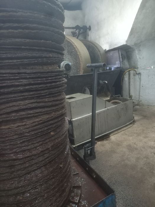 Azeite biológico caseiro.