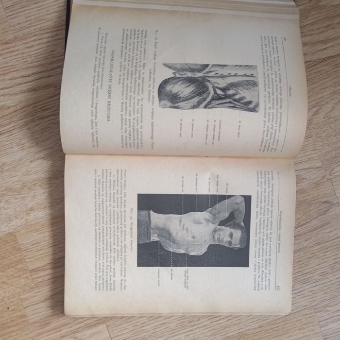 Adam Bochenek Anatomia Człowieka tom II