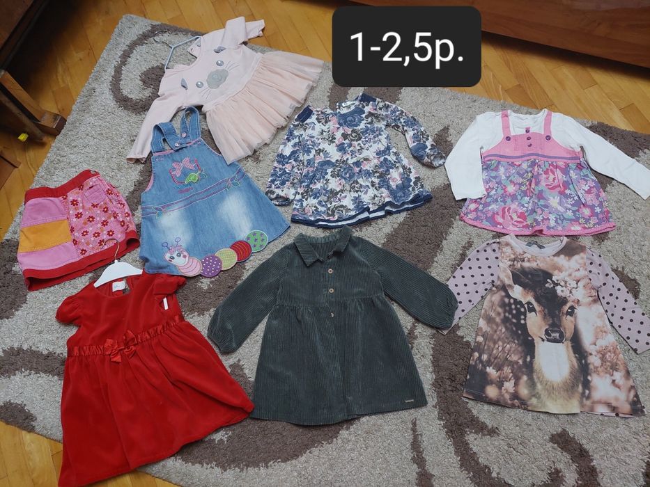 Одяг для дівчинки 1-3р. 74-98см плаття кофти реглани сарафани лосіни