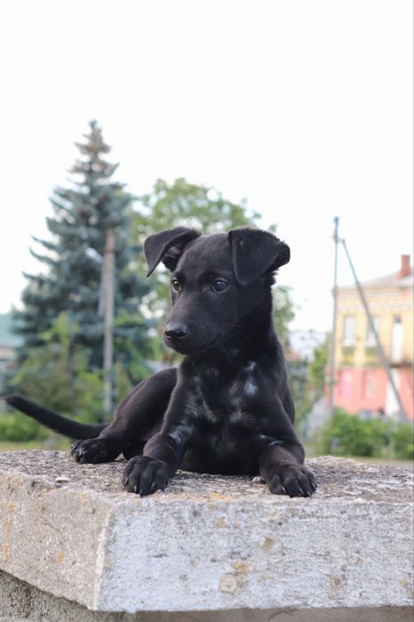 Ася мріє про родину