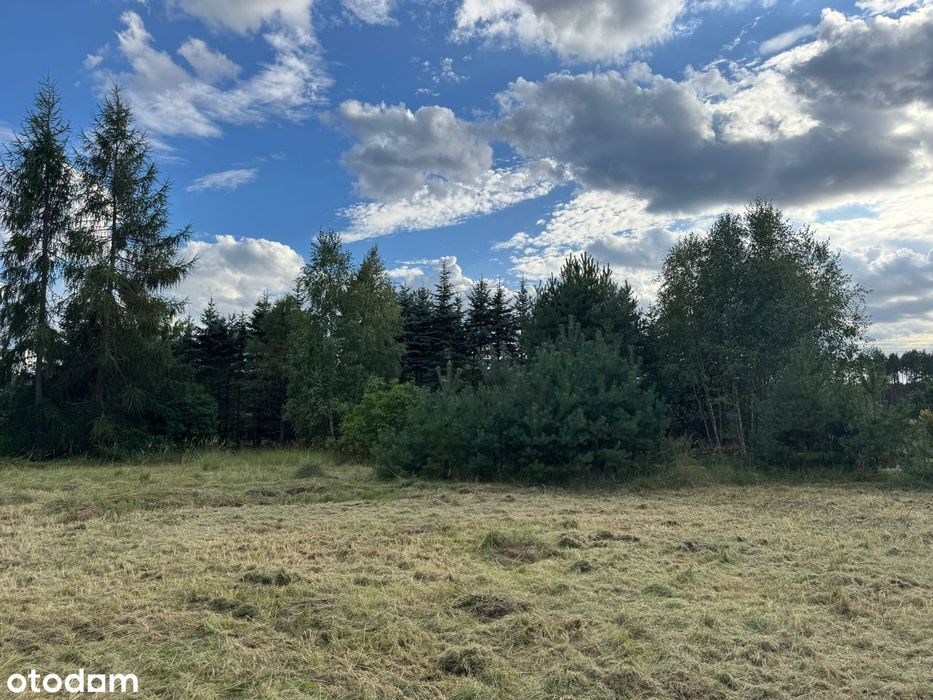 OKAZJA! Działka 3300 m² z mediami, gotowa do zabudowy dużo prywatności - Więcej