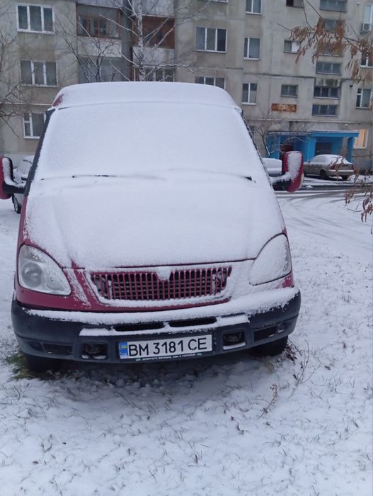 Газелька на полном ходу