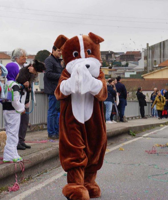 Panda / Mickey / Cão - mascotes de adulto