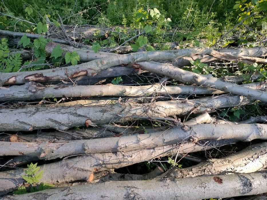 Drewno opałowe olszyna