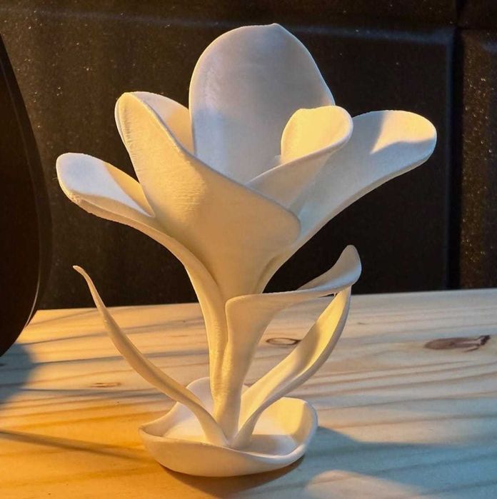 3D Printing - Impressão 3D – Serviços Profissionais (Bambu Lab X1E)