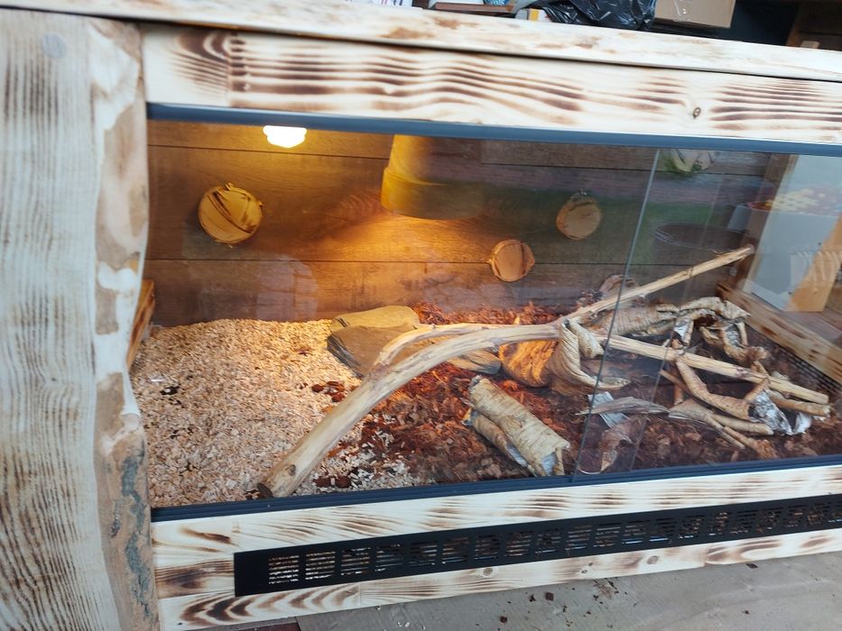 Terrarium różne wymiary