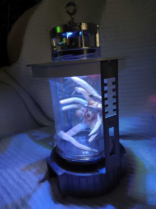 Alien Facehugg em invólucro