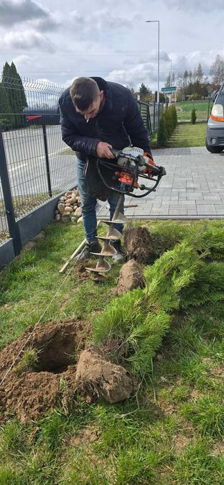 OGRODY  Nasadzenia Lublin Tuja szmarag d