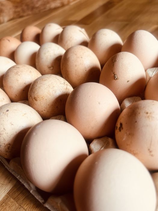 Ovos Caseiros do Campo – Produção Local e Saudável