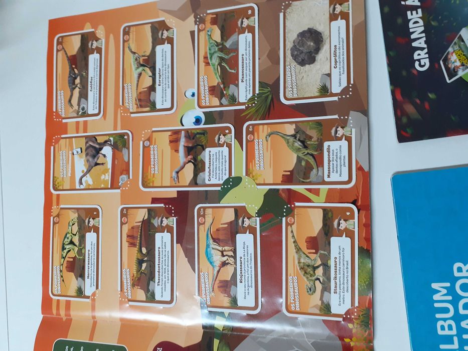 Cadernetas Pingo  doce (completas)