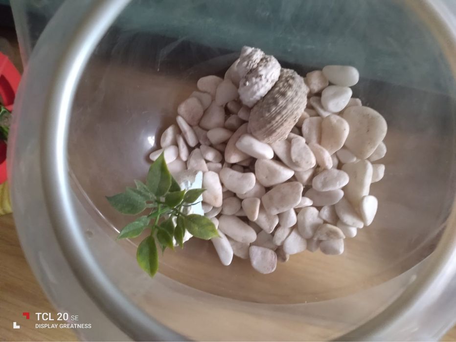 Peças para decoração de aquário