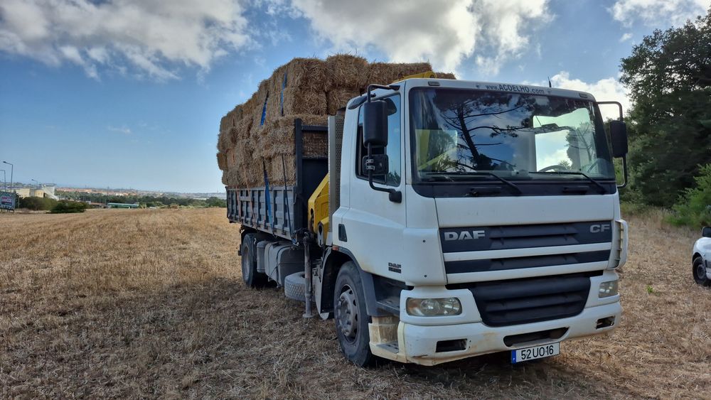 Daf CF 250 com grua