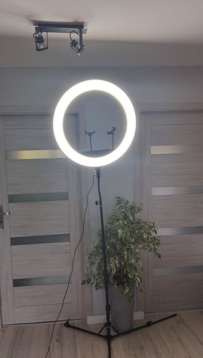 Profesjonalny ring ML25 64cm