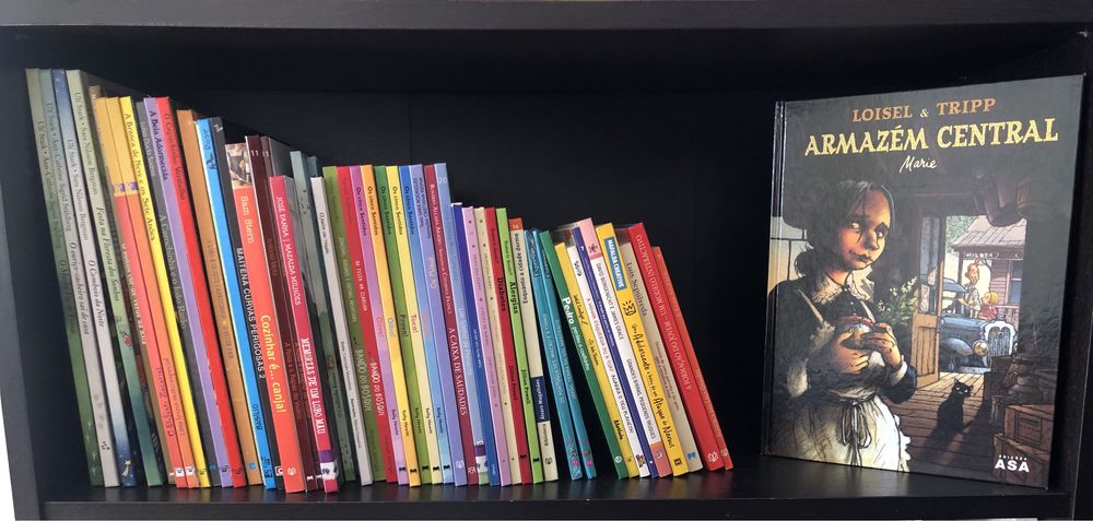 Livros infantis (princesa Sofia, ursinho…)