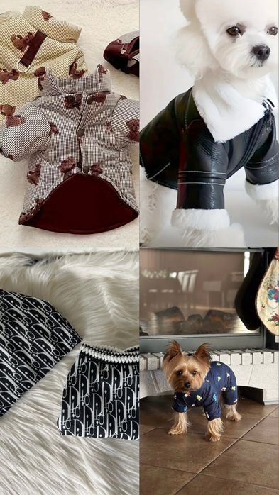 Собачий одяг для міні порід | Одяг для собак міні порід