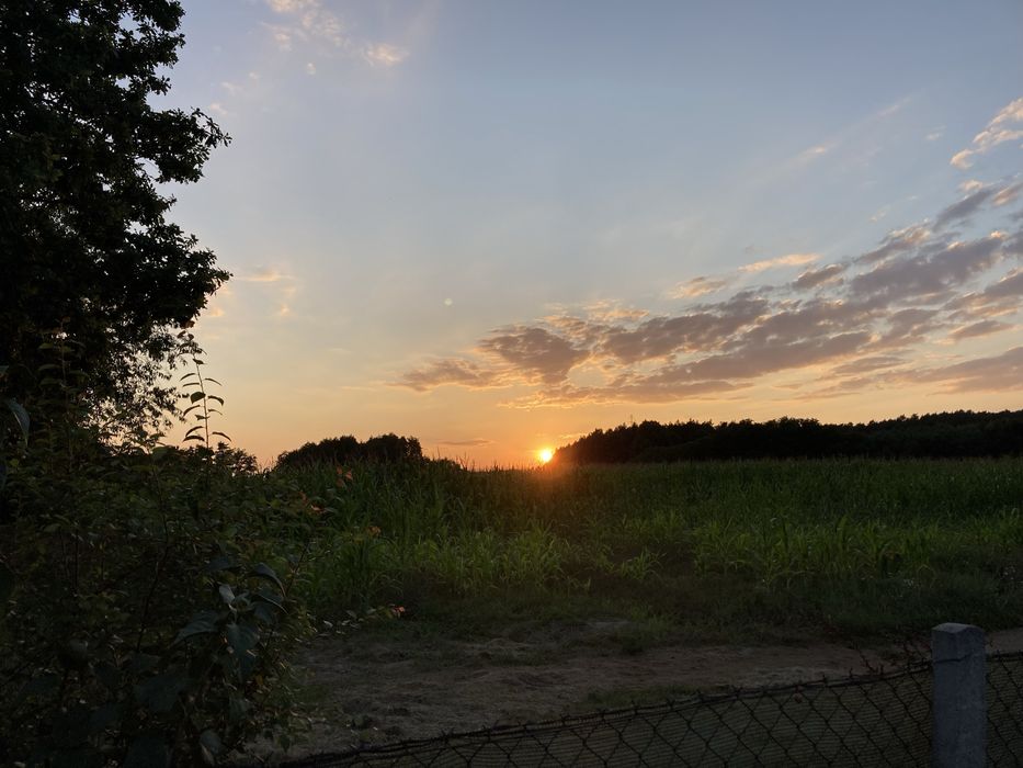 Działka ROD Leśne Oczko Nowy Kisielin