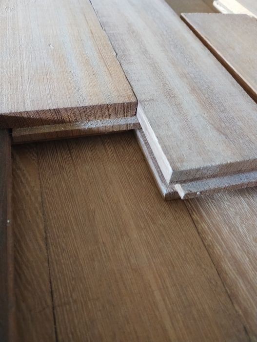 Parkiet Badi 2 gatunek