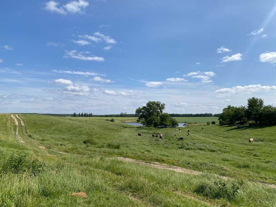 Продаж будинку в с.Мізяківські Хутори 2342