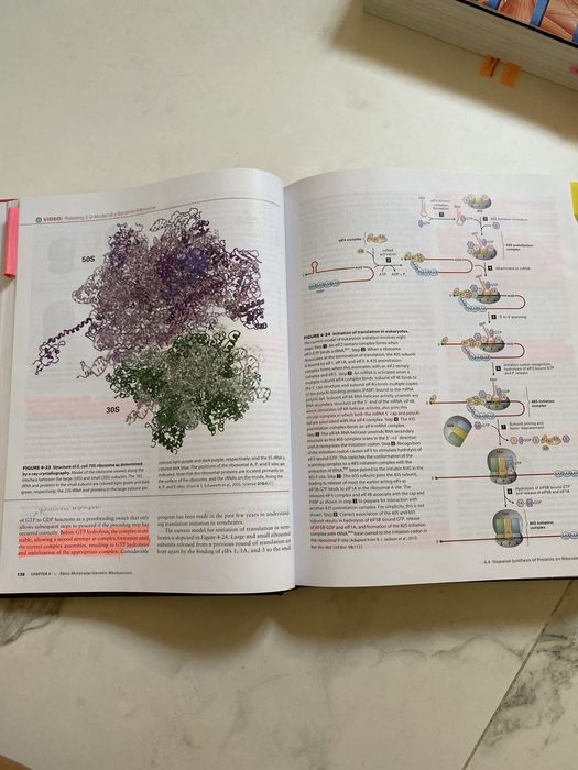 Livro técnico - Lodish Molecular Cell Biology 7th Edition