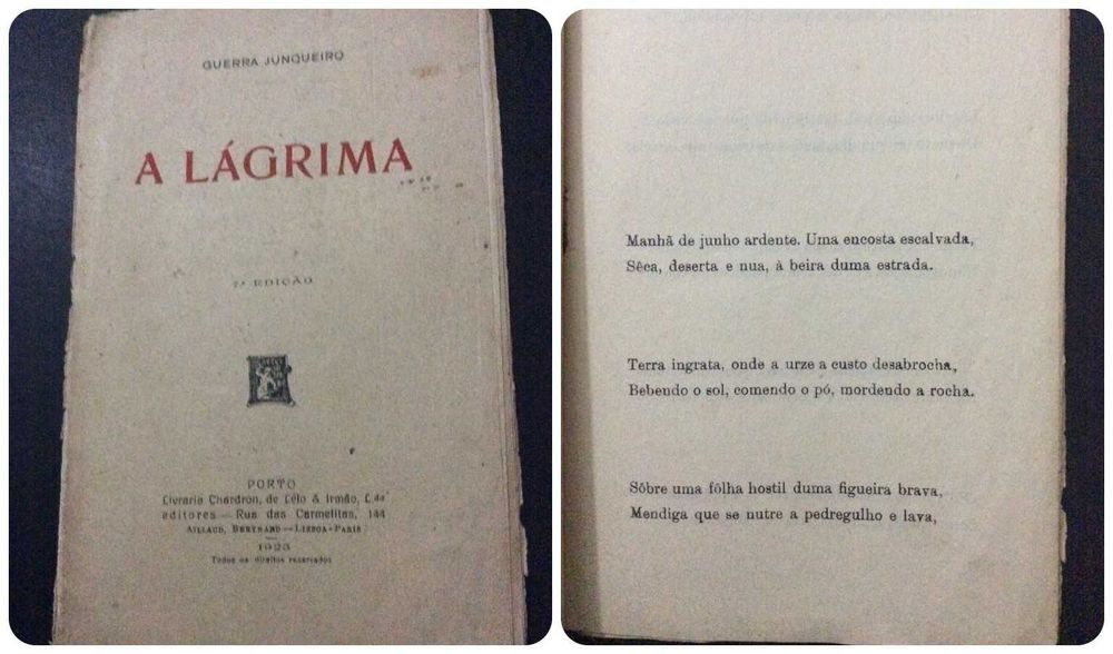 Livros com excelentes valores. Lote 14
