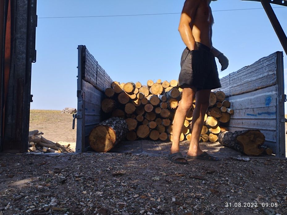 Дрова берёза метровка 2300