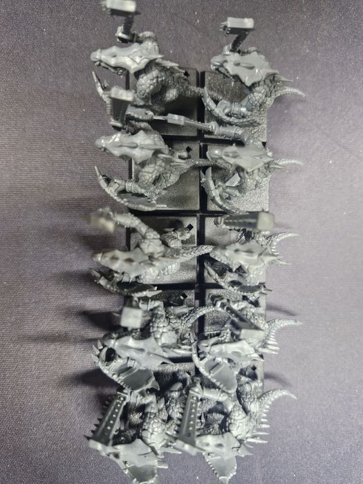 LIzardmen / seraphon saurus warriors