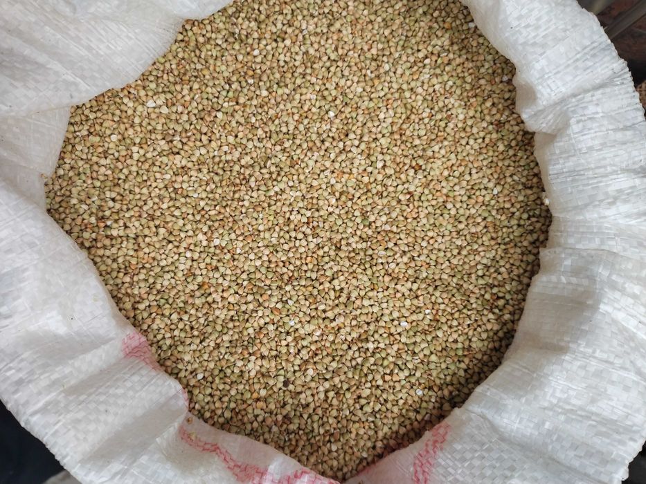 Зелена гречка (не смажена )