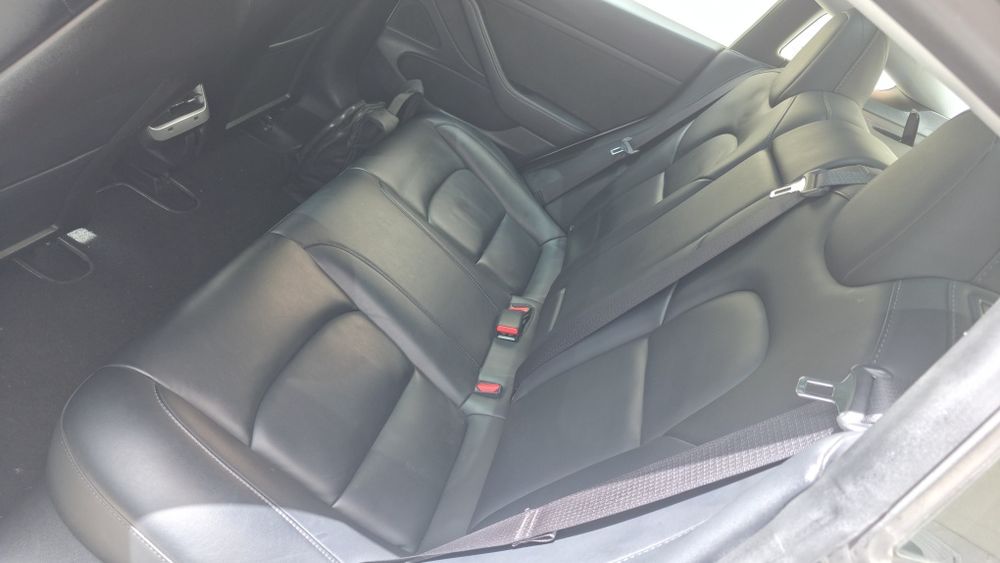 Tesla standard range plus 12-2019