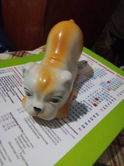 Гарнюсєнький Собачка мопсик на полюванні