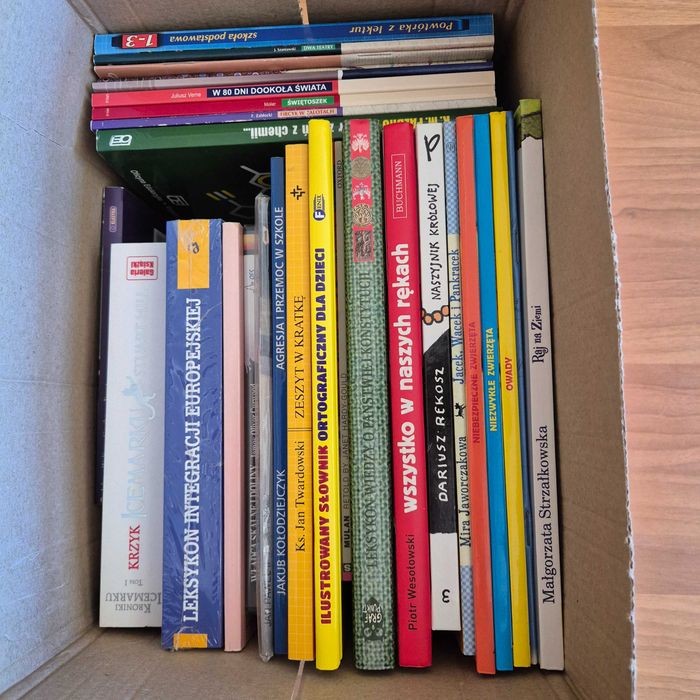 zestaw karton książek dzieci nastolatki literatura młodzieżowa dziecięca szkoła edukacja