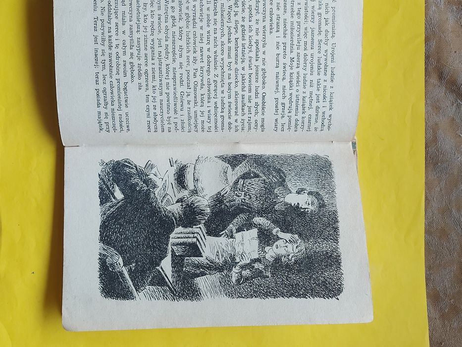 Książka Awantura o Basię 1955 rok