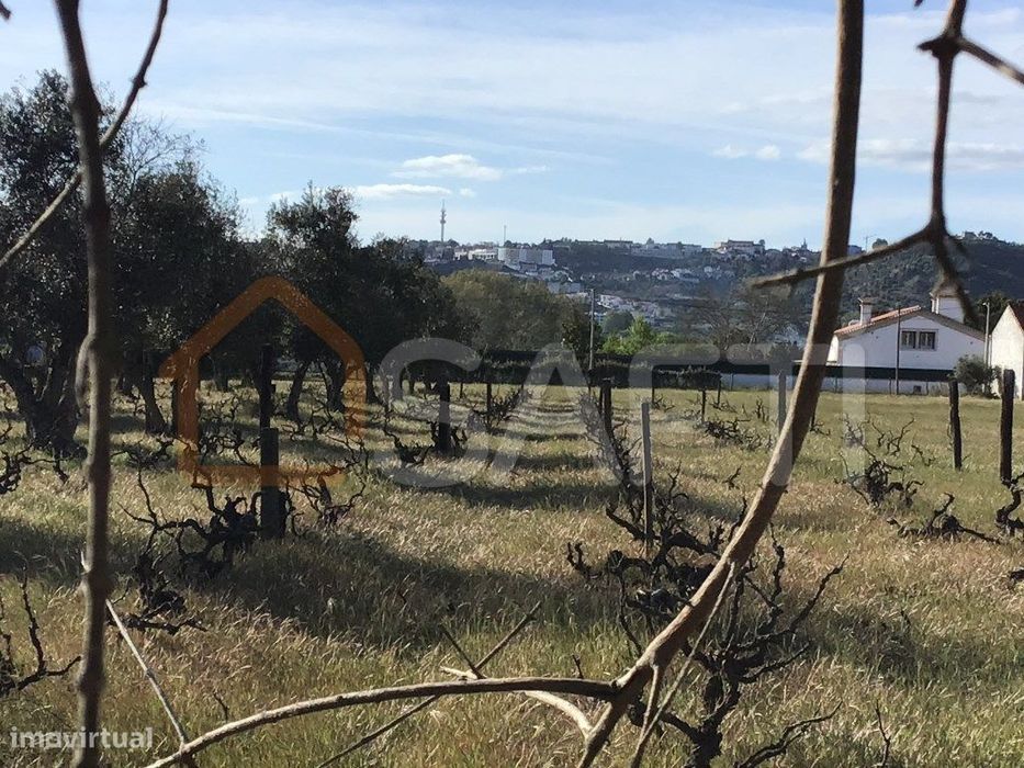 Terreno rústico na Zona Urbana com 6.800m2 em Fojo - Rossio ao Sul ... — São Miguel Do Rio Torto E Rossio Ao Sul Do Tejo, Santarém