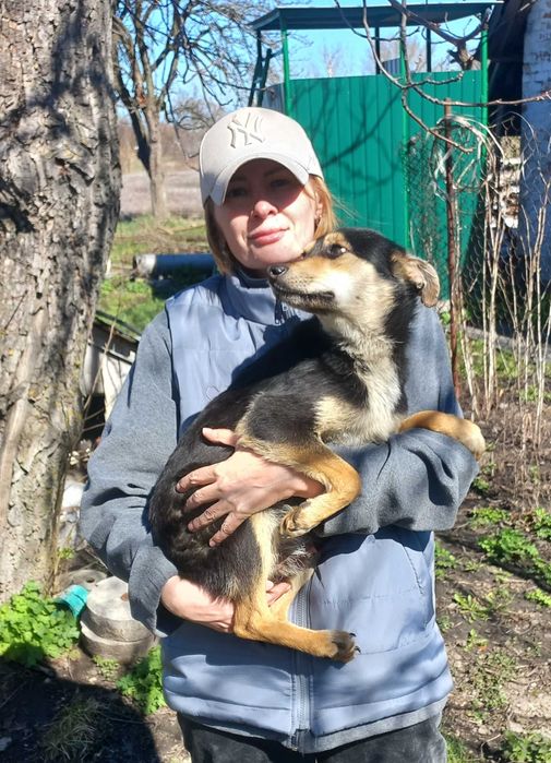Собачка хлопчик в добрі руки