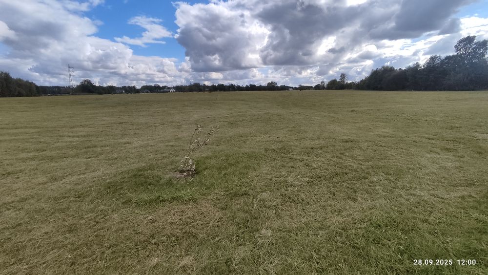 działki budowlane SIEMNOCHA