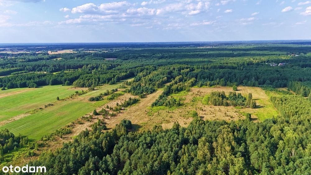 Działki budowlane w otoczeniu lasu