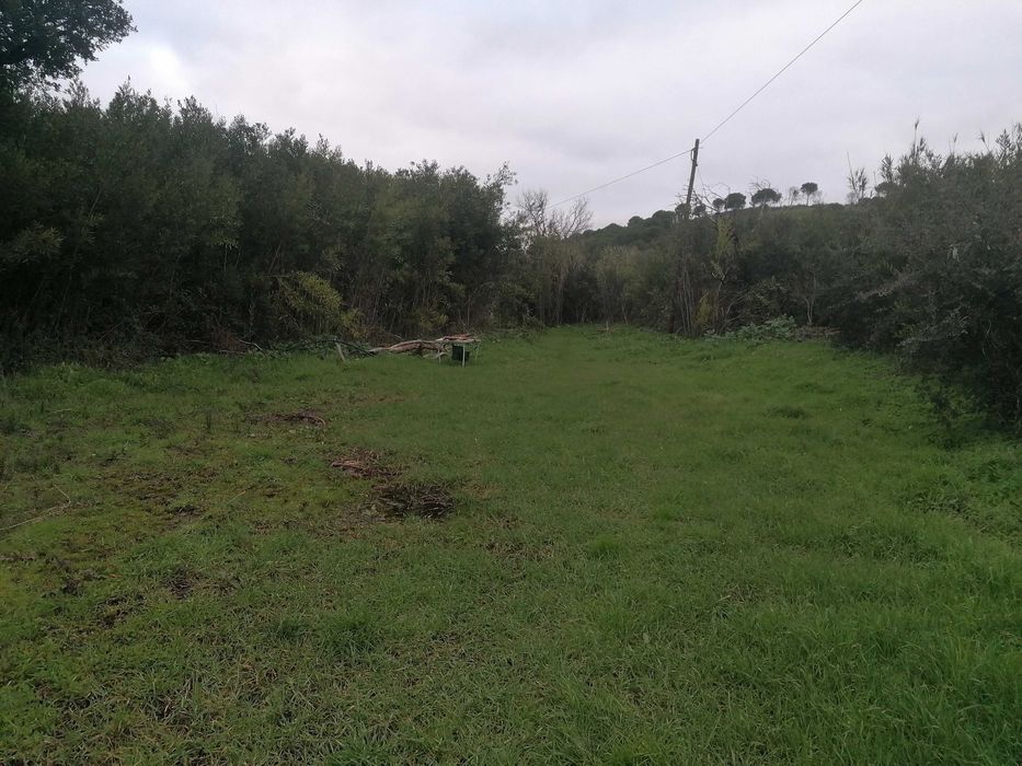 Terreno 12ha misto com possibilidade de turismo rural Bensafrim