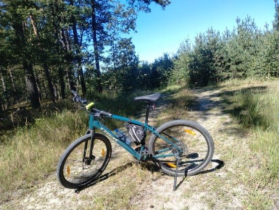 Rower Trek dual Sport 2 gen 5 roz L