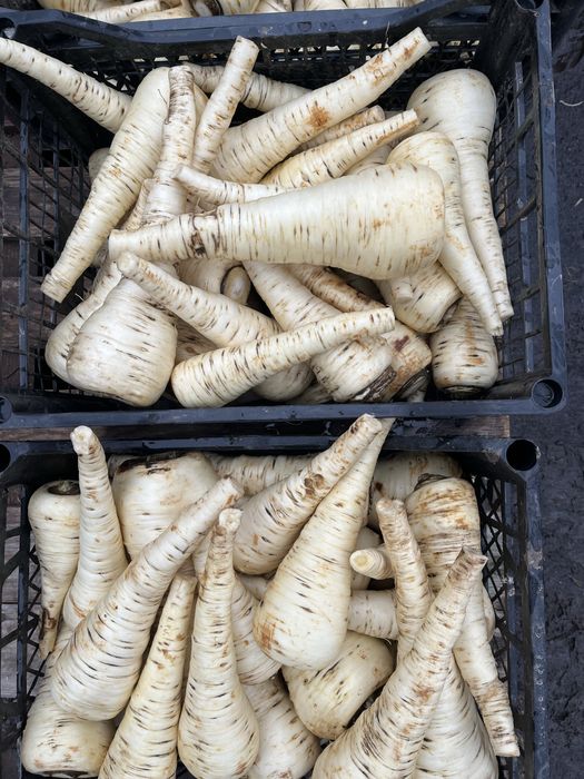 Пастернак свіжий!