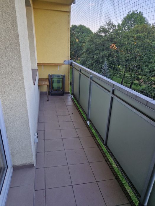 Zdjęcie 8