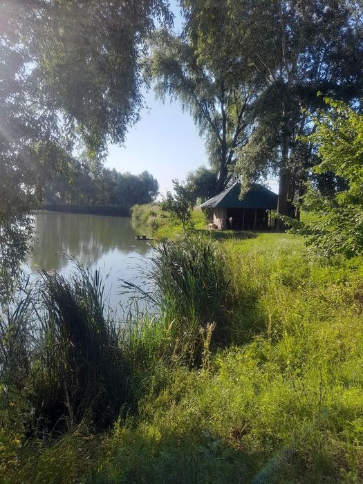 Продам будинок в тихому місці