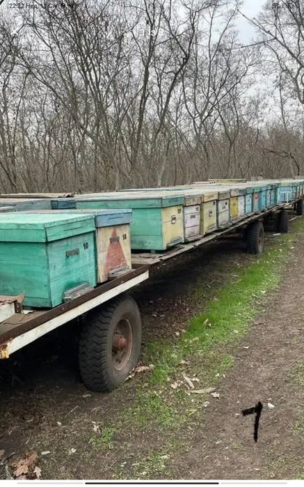 Бджолоприцеп, павільйон, пчелопавильйон, платформа