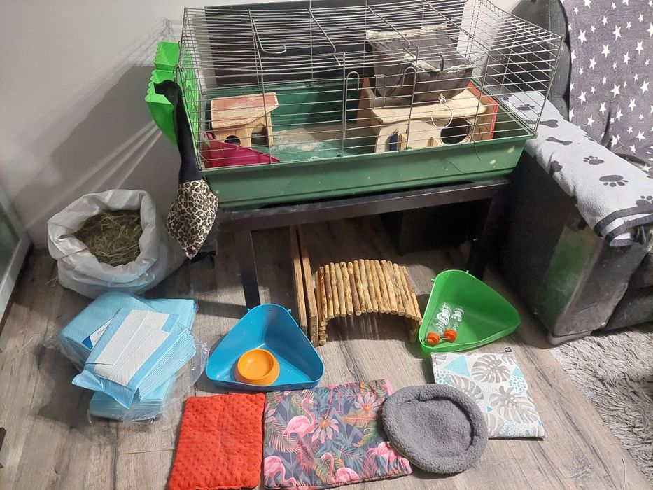 Klatka dla świnki morskiej i akcesoria