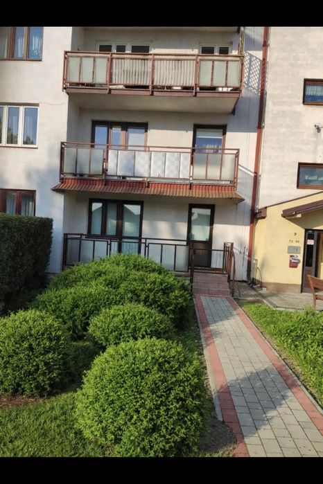 Zdjęcie 5